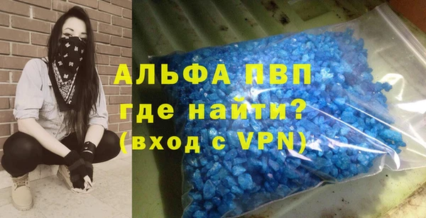 стаф Арсеньев